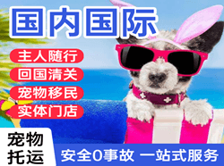 泉州航空托运国际宠物托运 【国